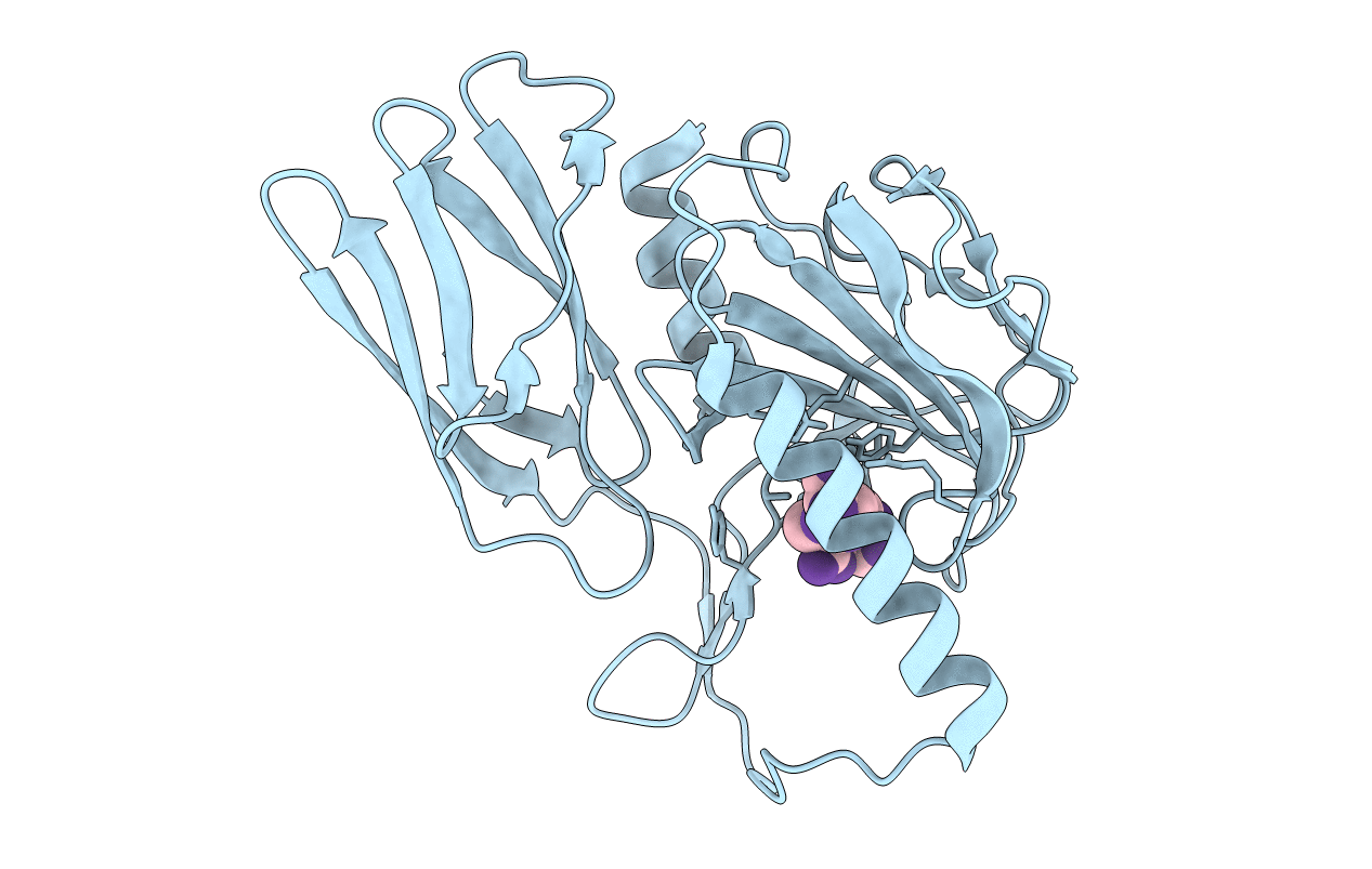 6JN1 image