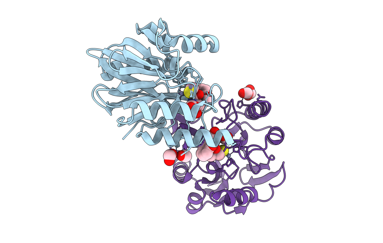 6JN6 image