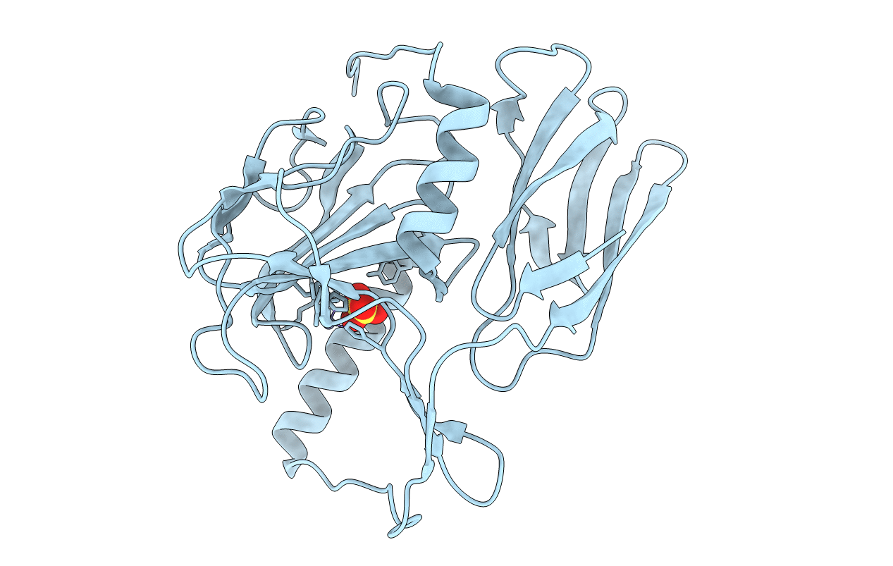 6JN8 image