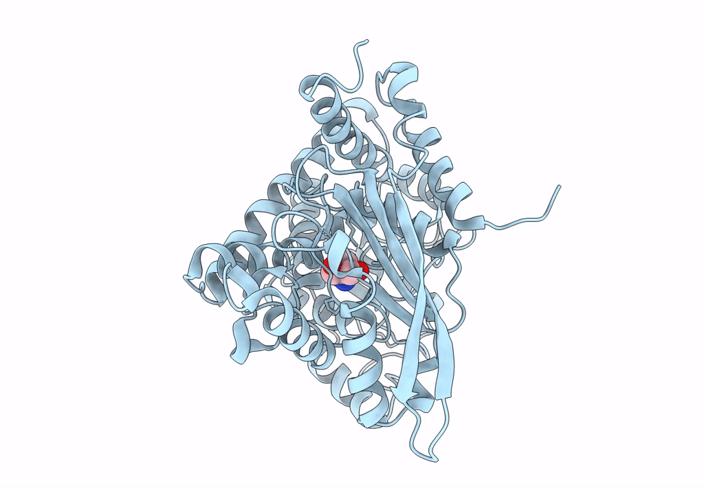 6JNC image