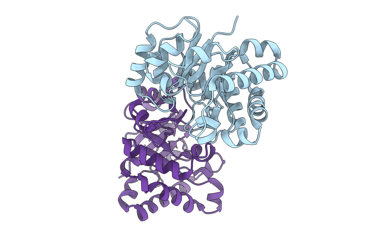 6JOX image