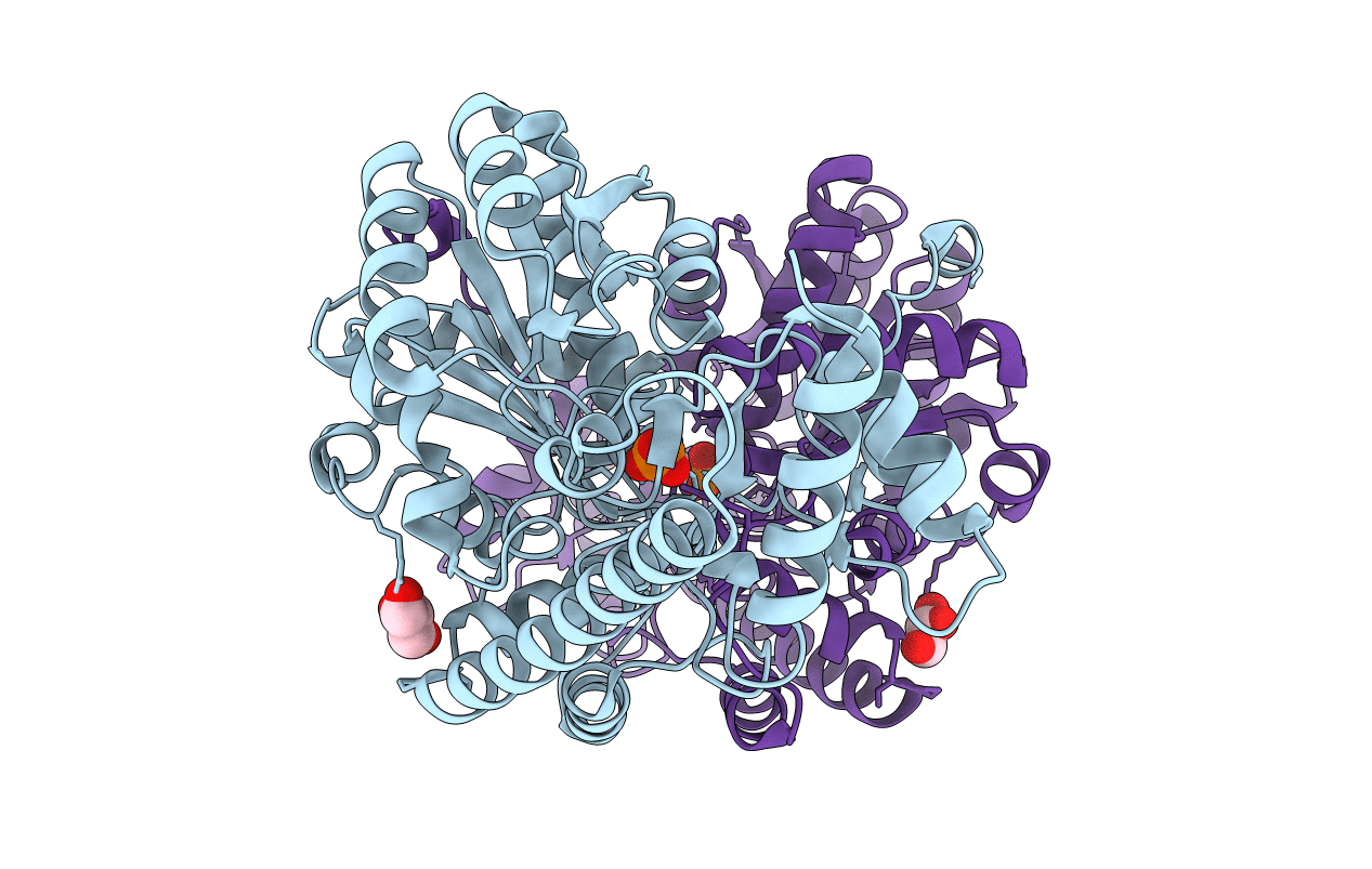 6JPK image