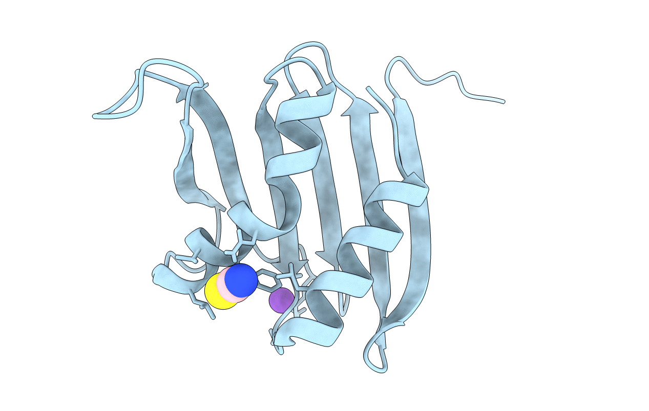 6JPT image
