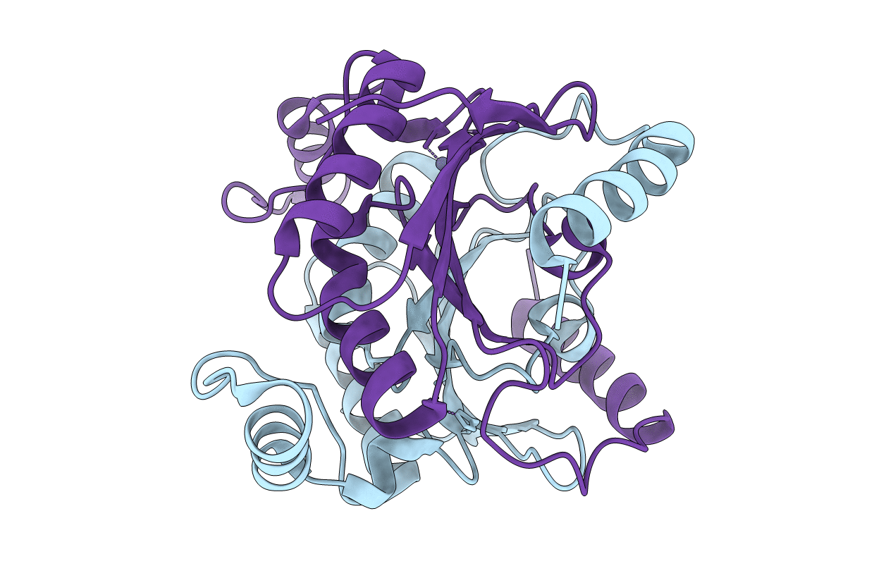 6JQD image