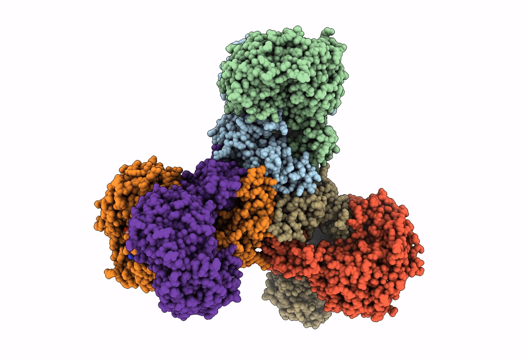 6JQM image