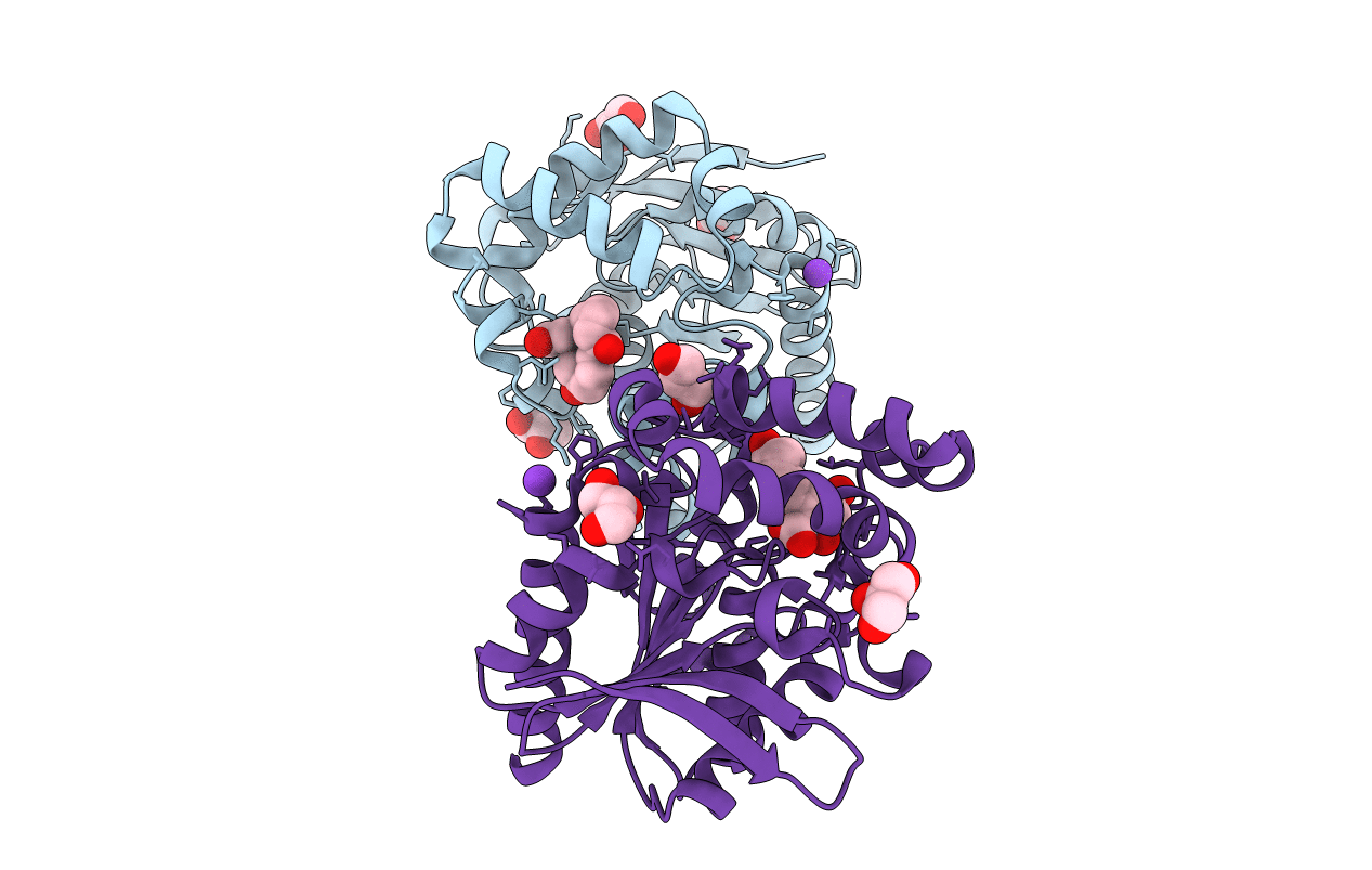 6JRC image