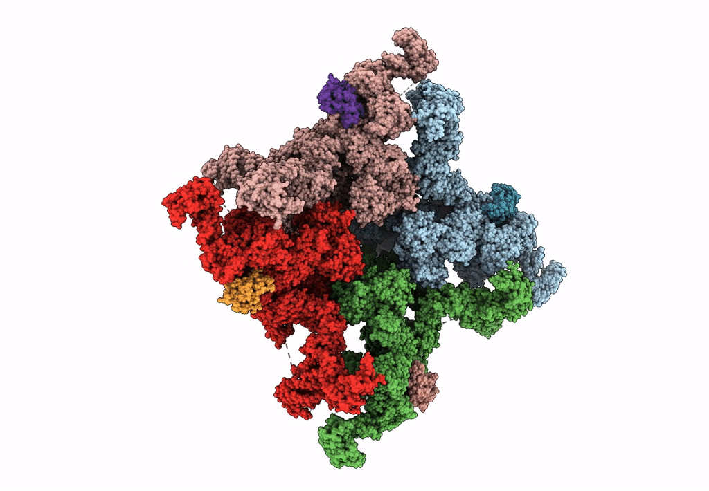 6JRR image