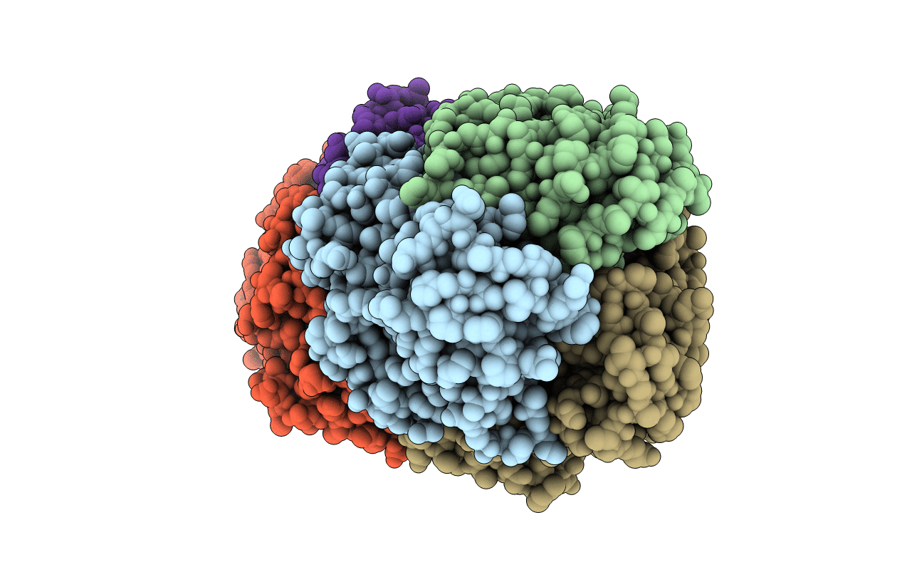 6JVU image