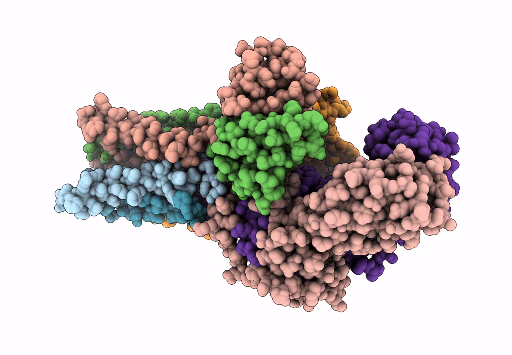 6JXR image