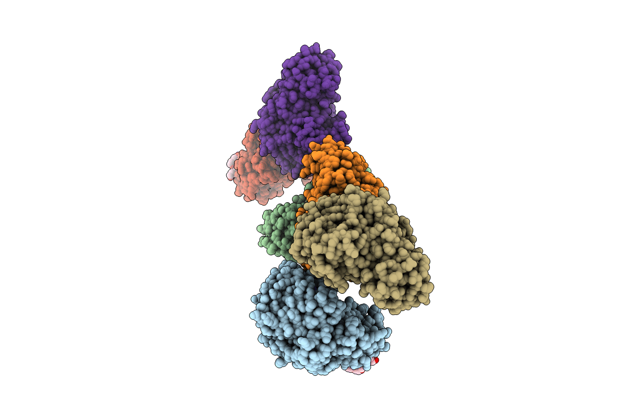 6JYG image