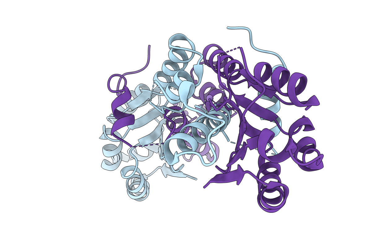 6K1B image
