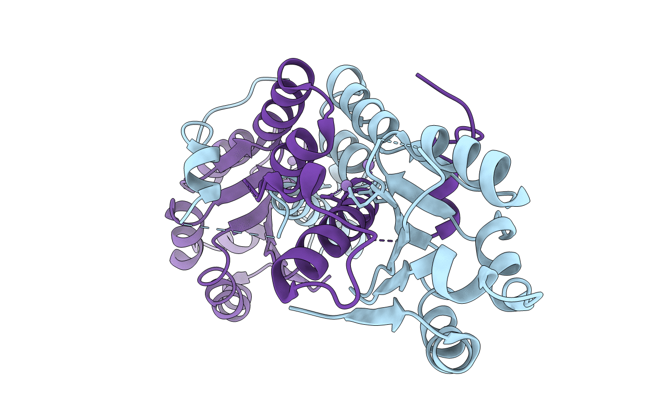 6K1D image