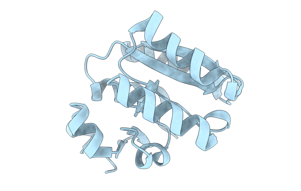 6K1W image