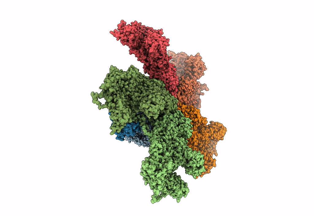 6K32 image