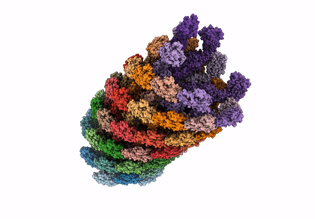 6K3I image