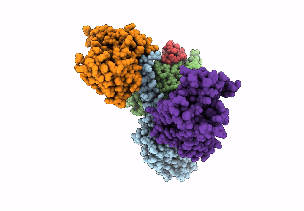 6K42 image