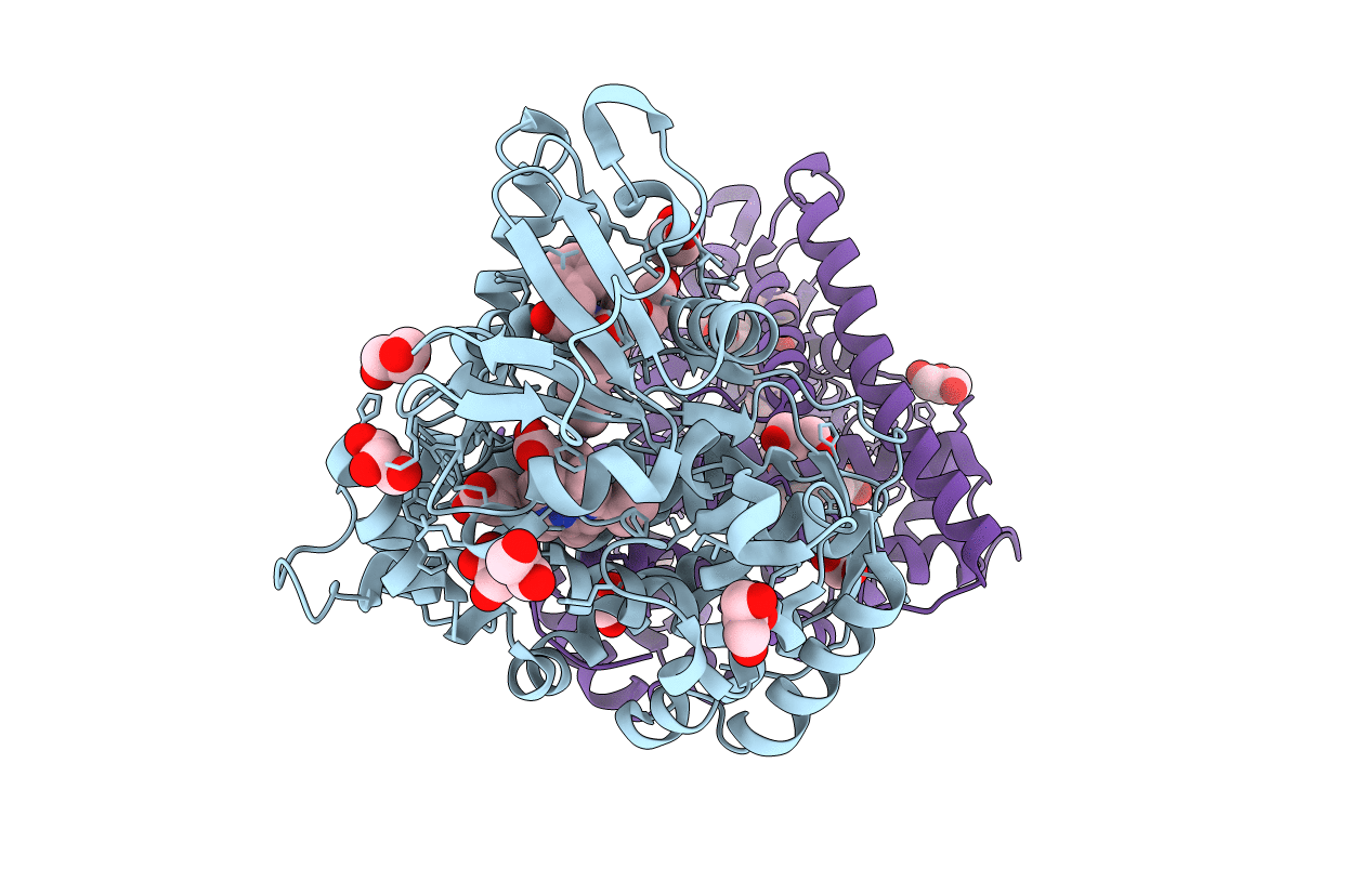 6K58 image