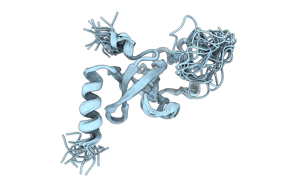 6K5W image