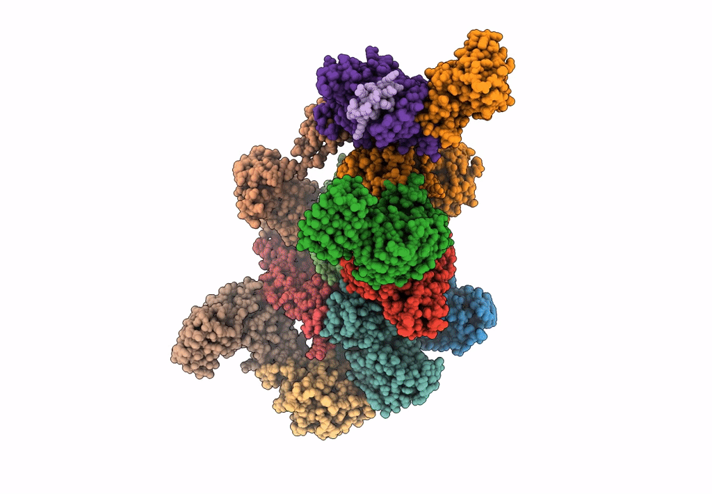6K71 image