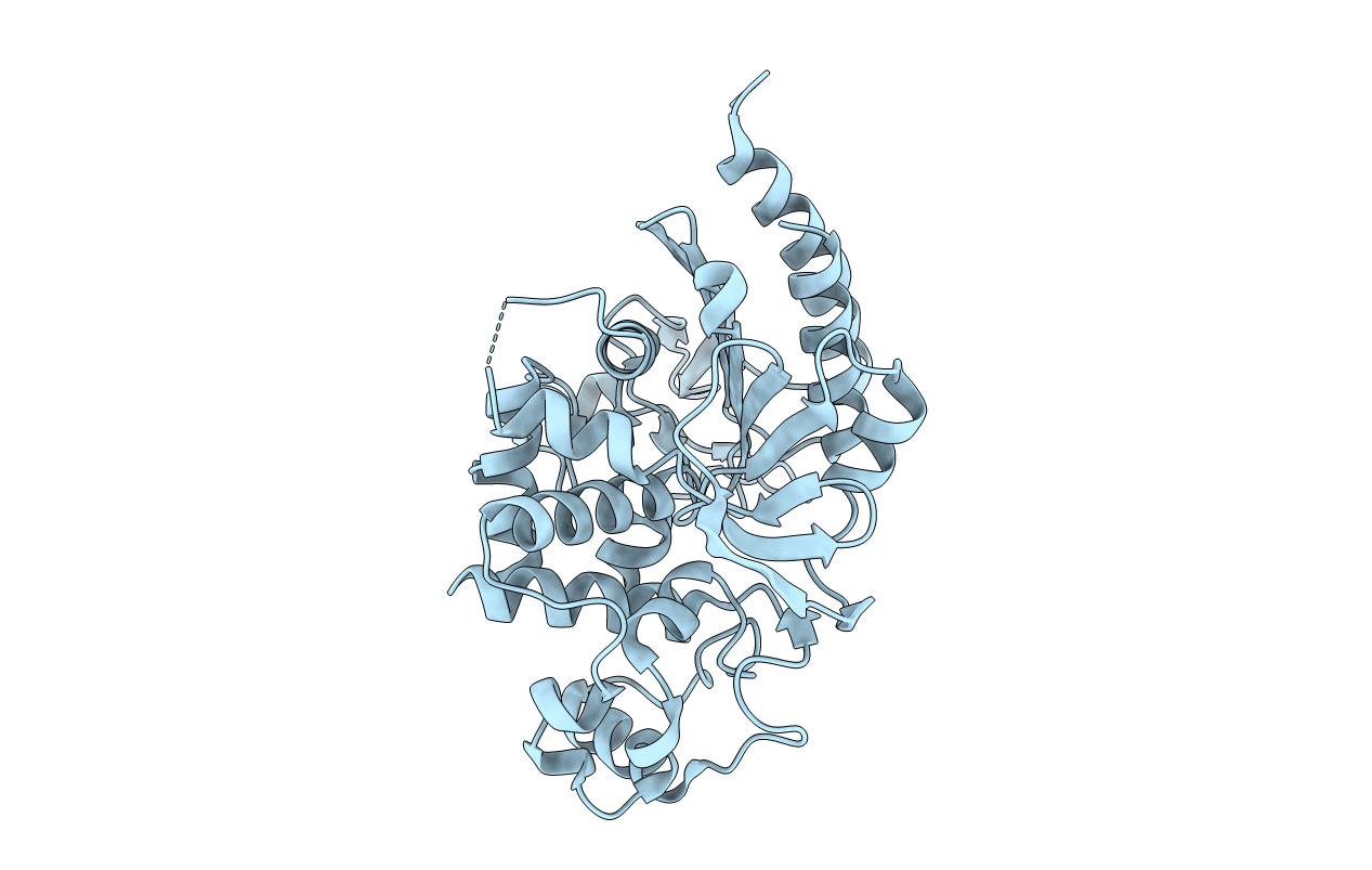 6K8X image