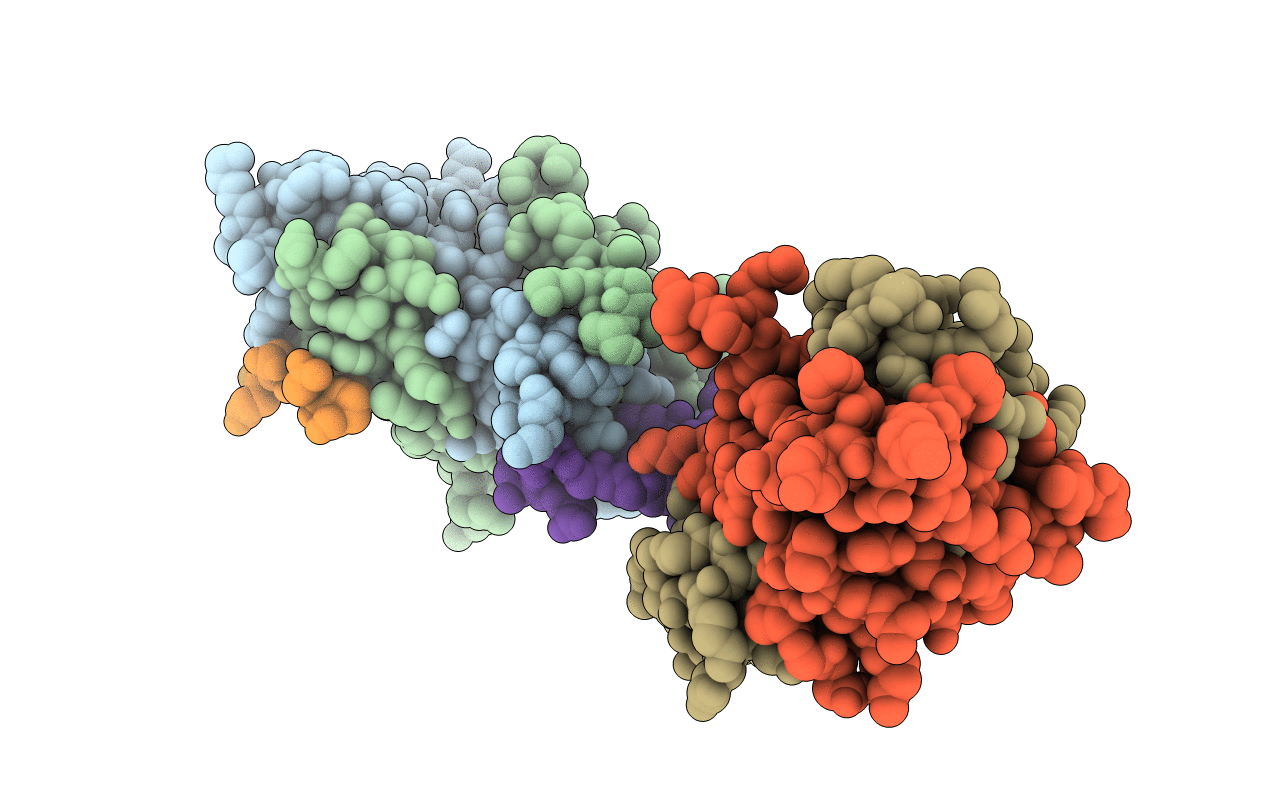 6KBB image