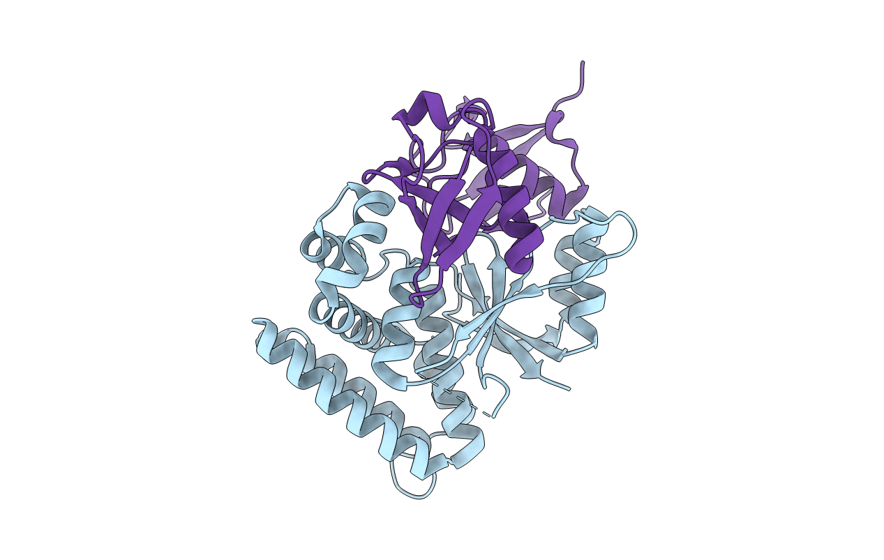 6KBE image