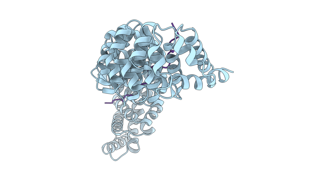6KBM image