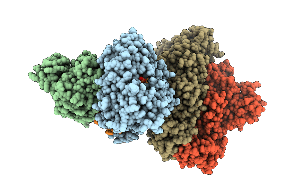 6KDK image