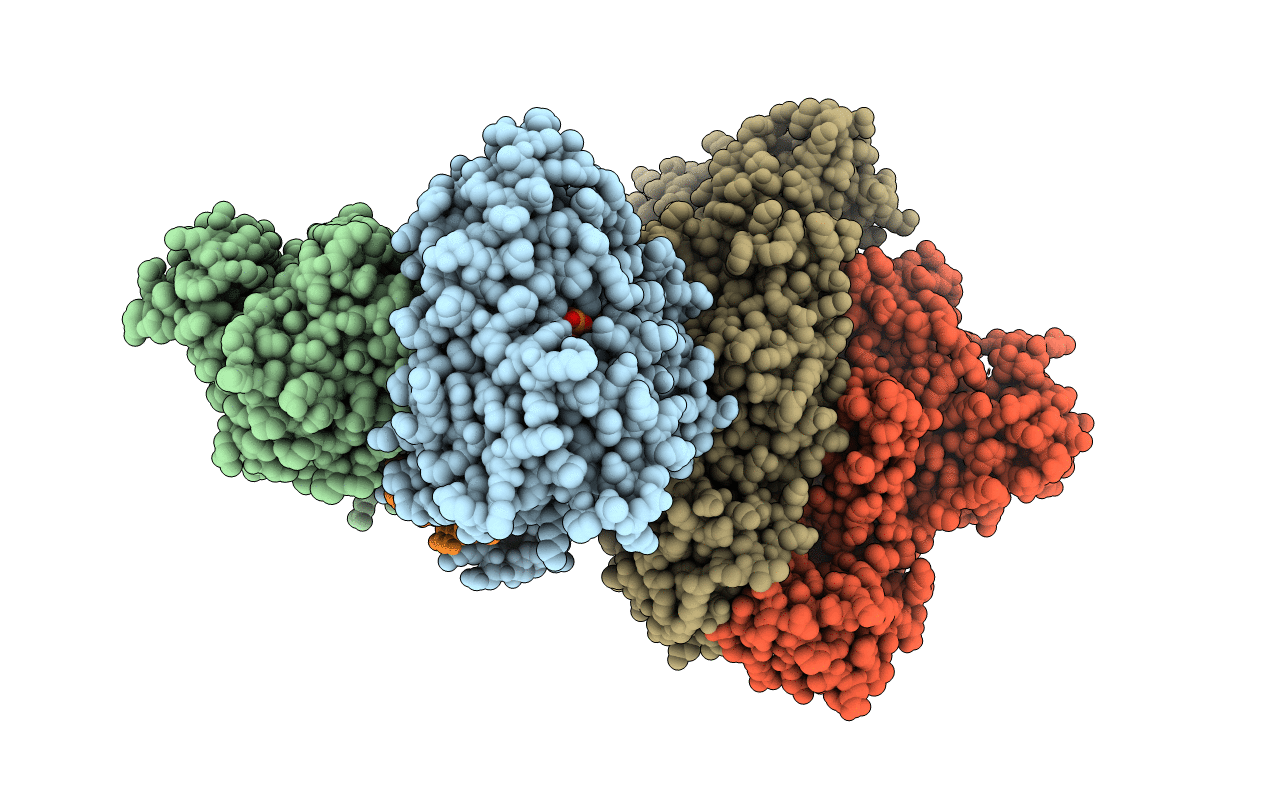 6KDM image
