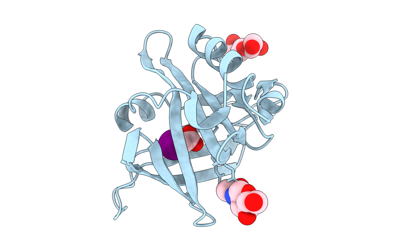 6KFD image
