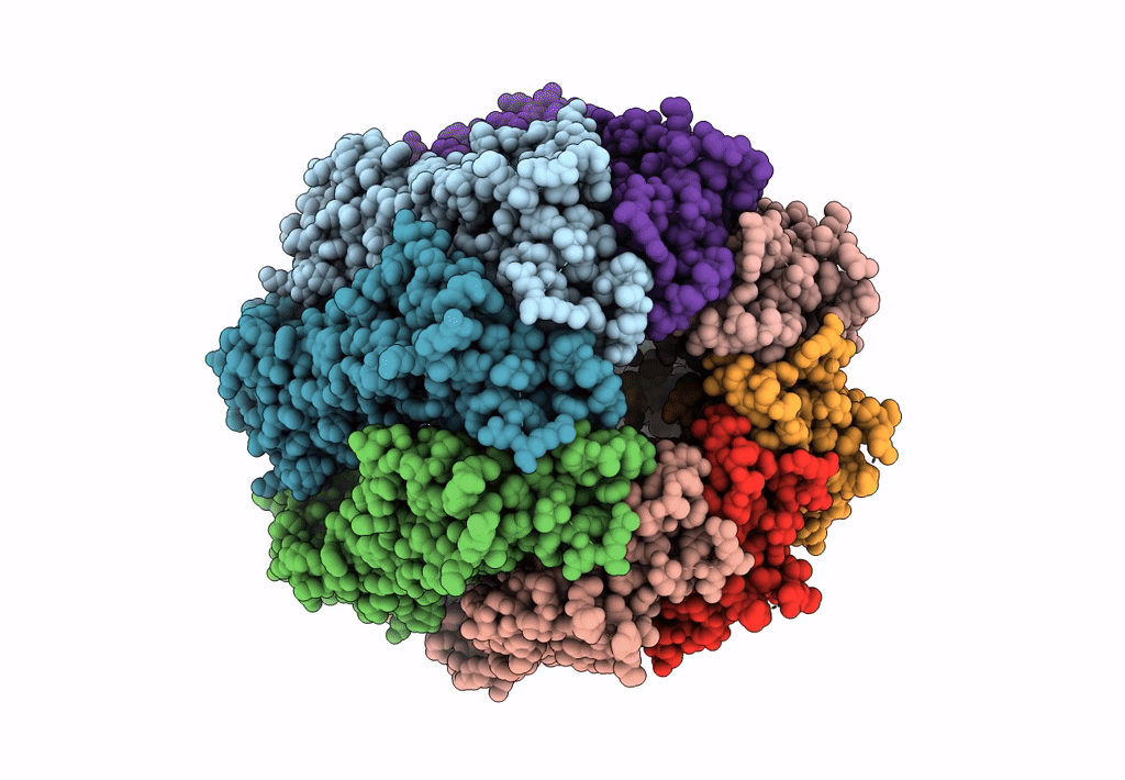 6KFG image