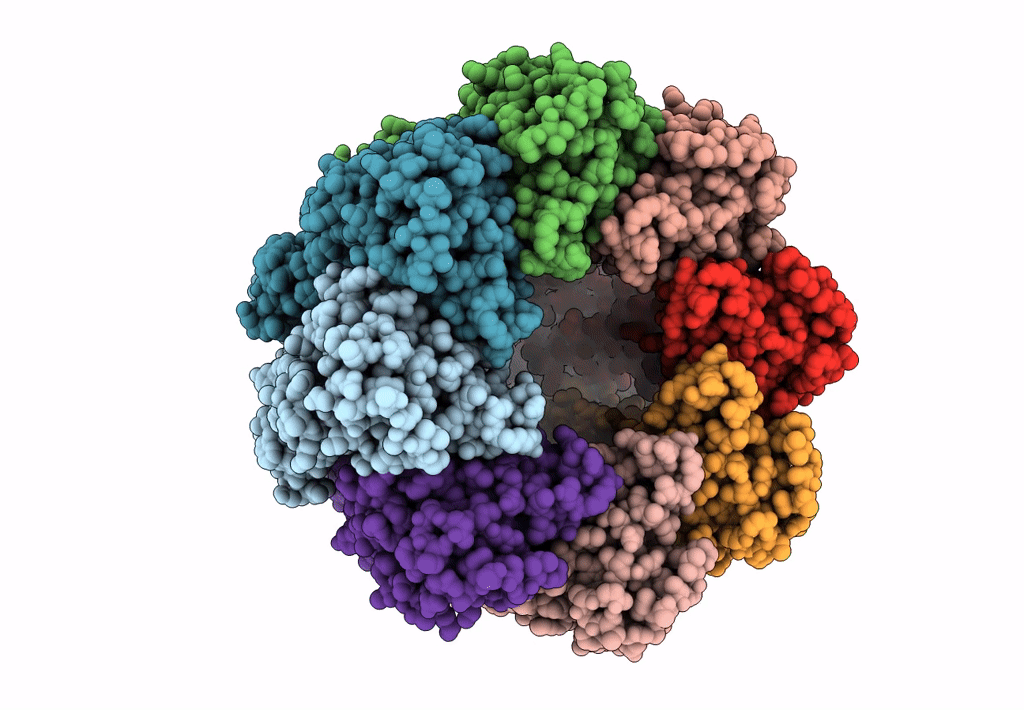 6KFH image