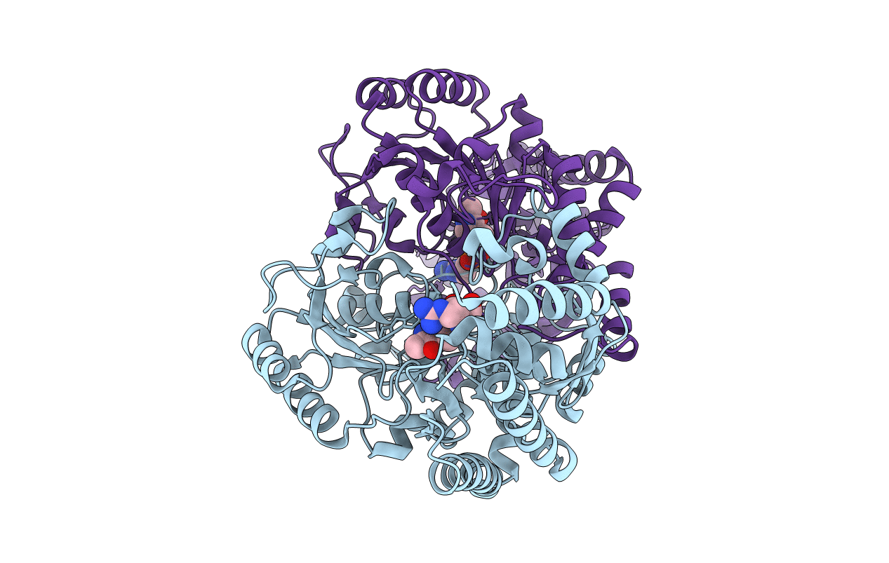 6KFR image