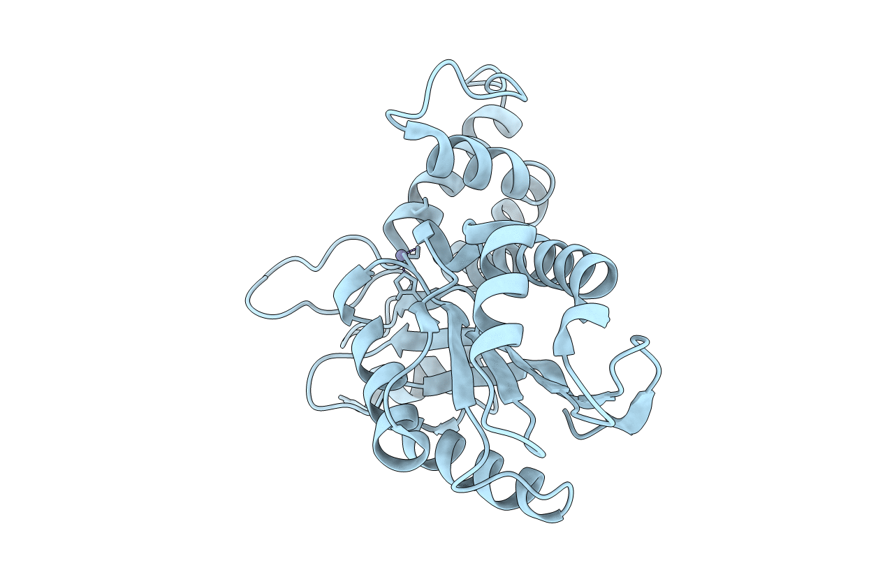 6KFS image