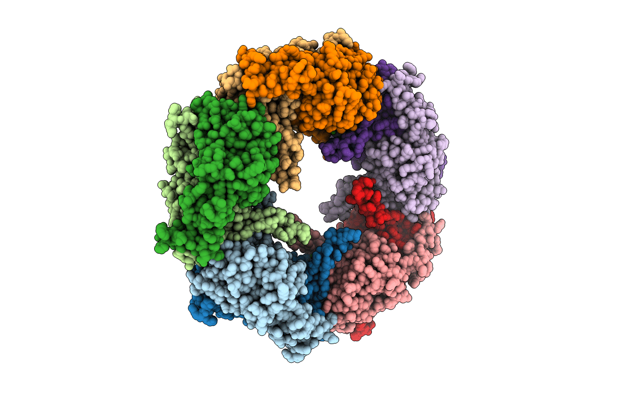 6KHX image