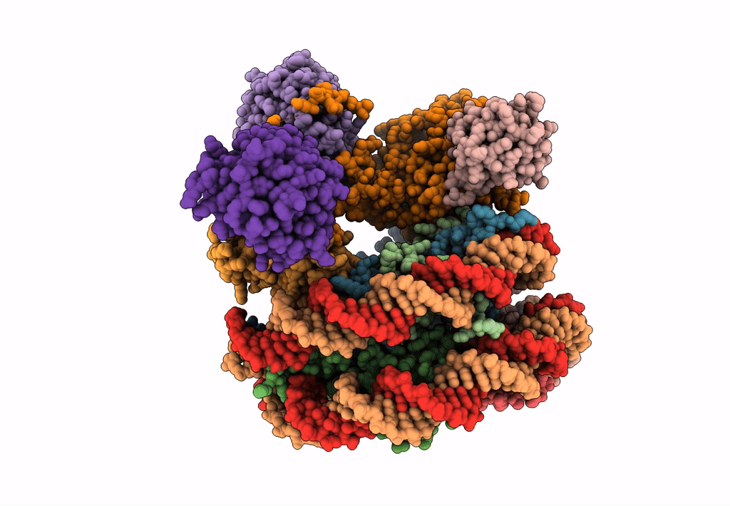 6KIV image