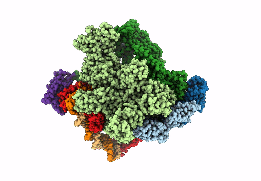 6KJ6 image