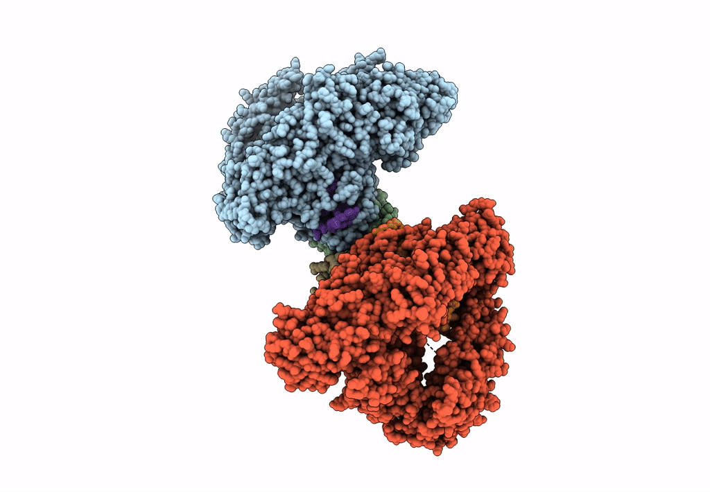 6KLB image