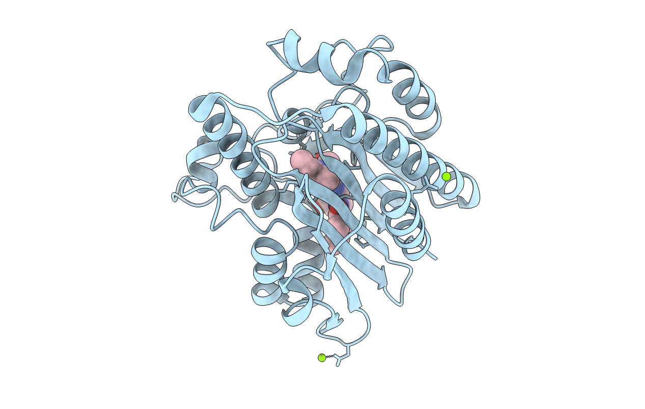 6KMD image