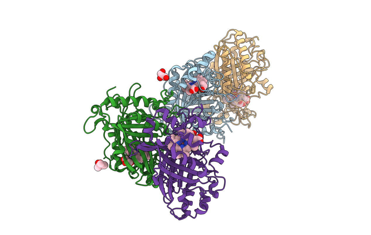 6KMN image