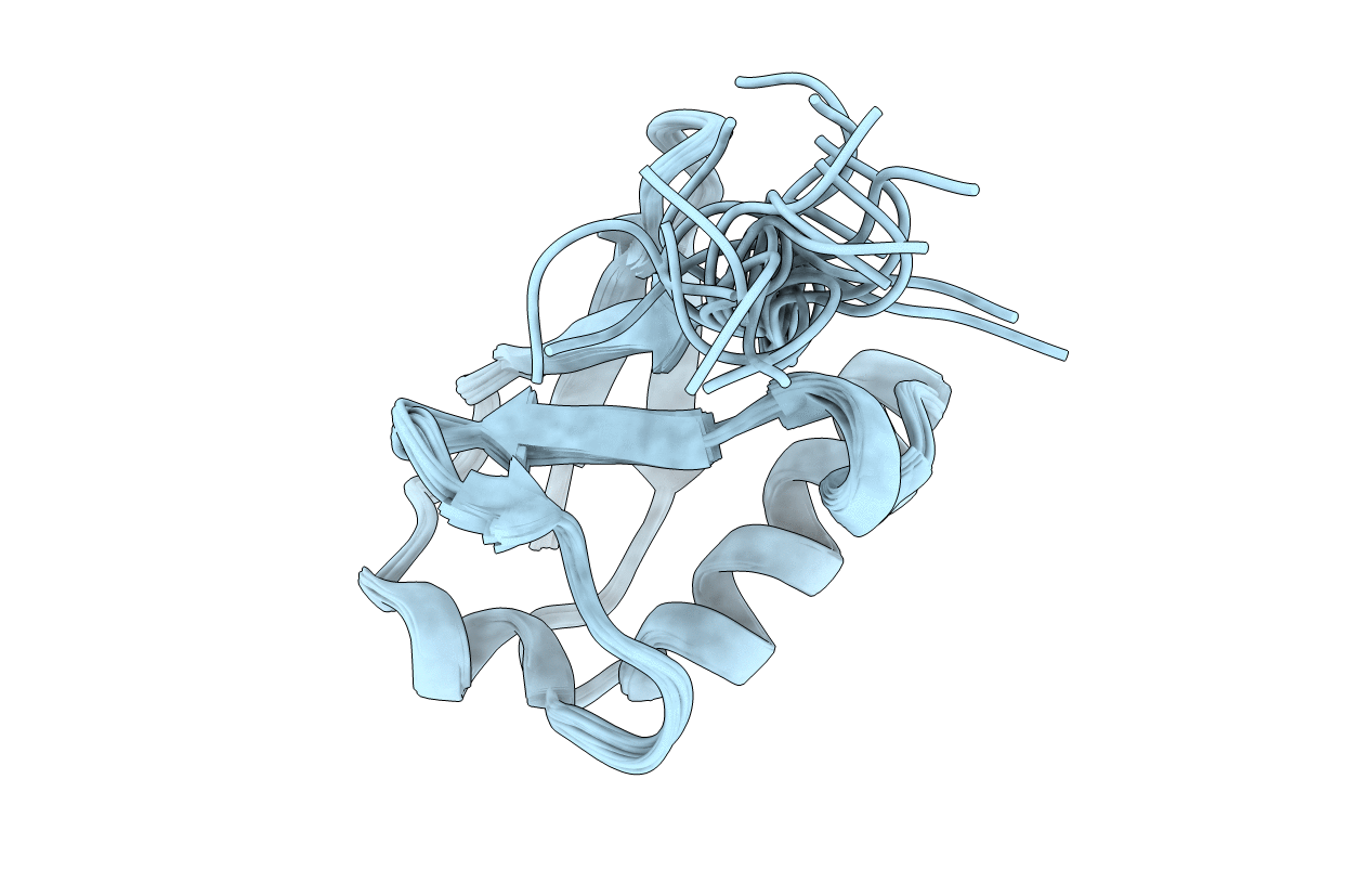 6KOX image