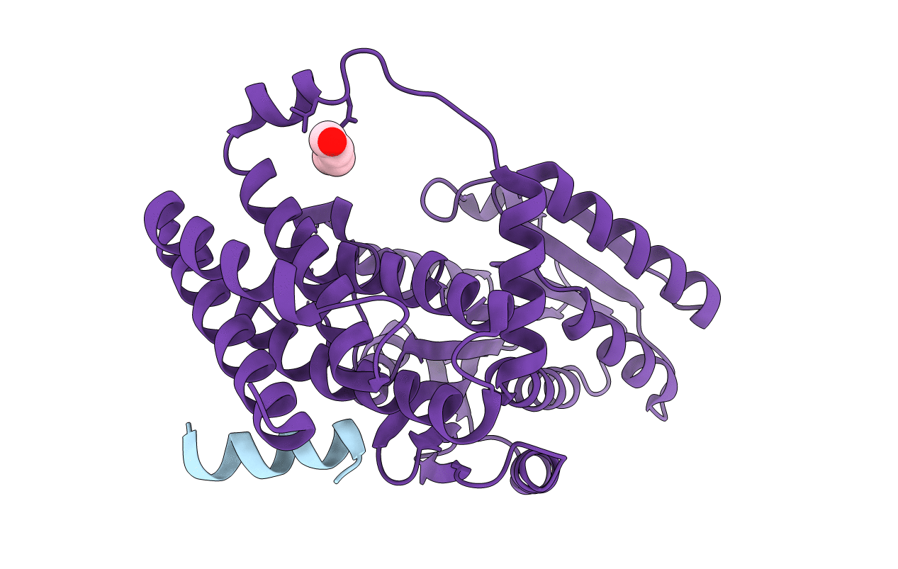6KPB image