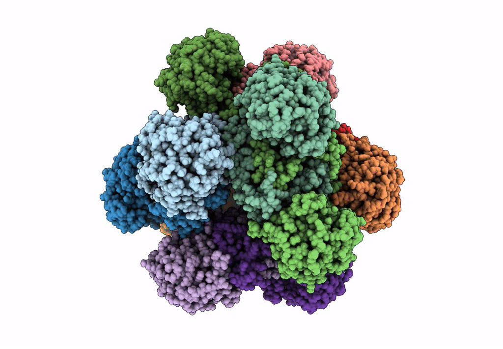 6KPE image