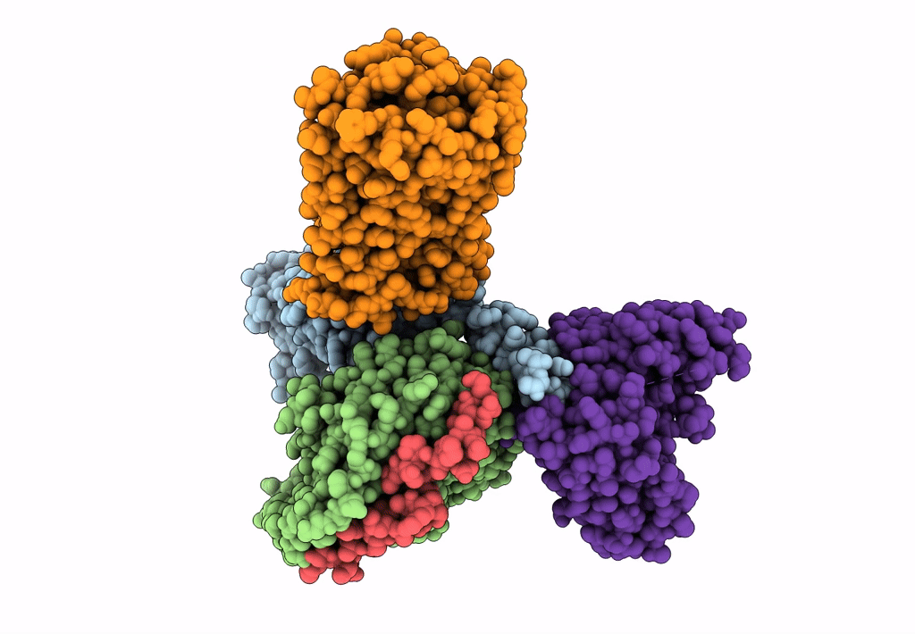 6KPG image