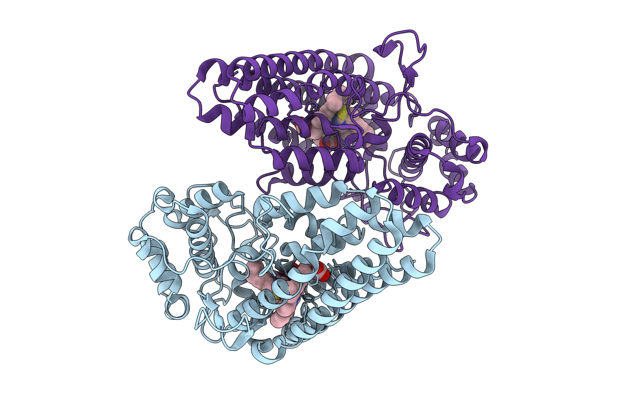 6KPS image