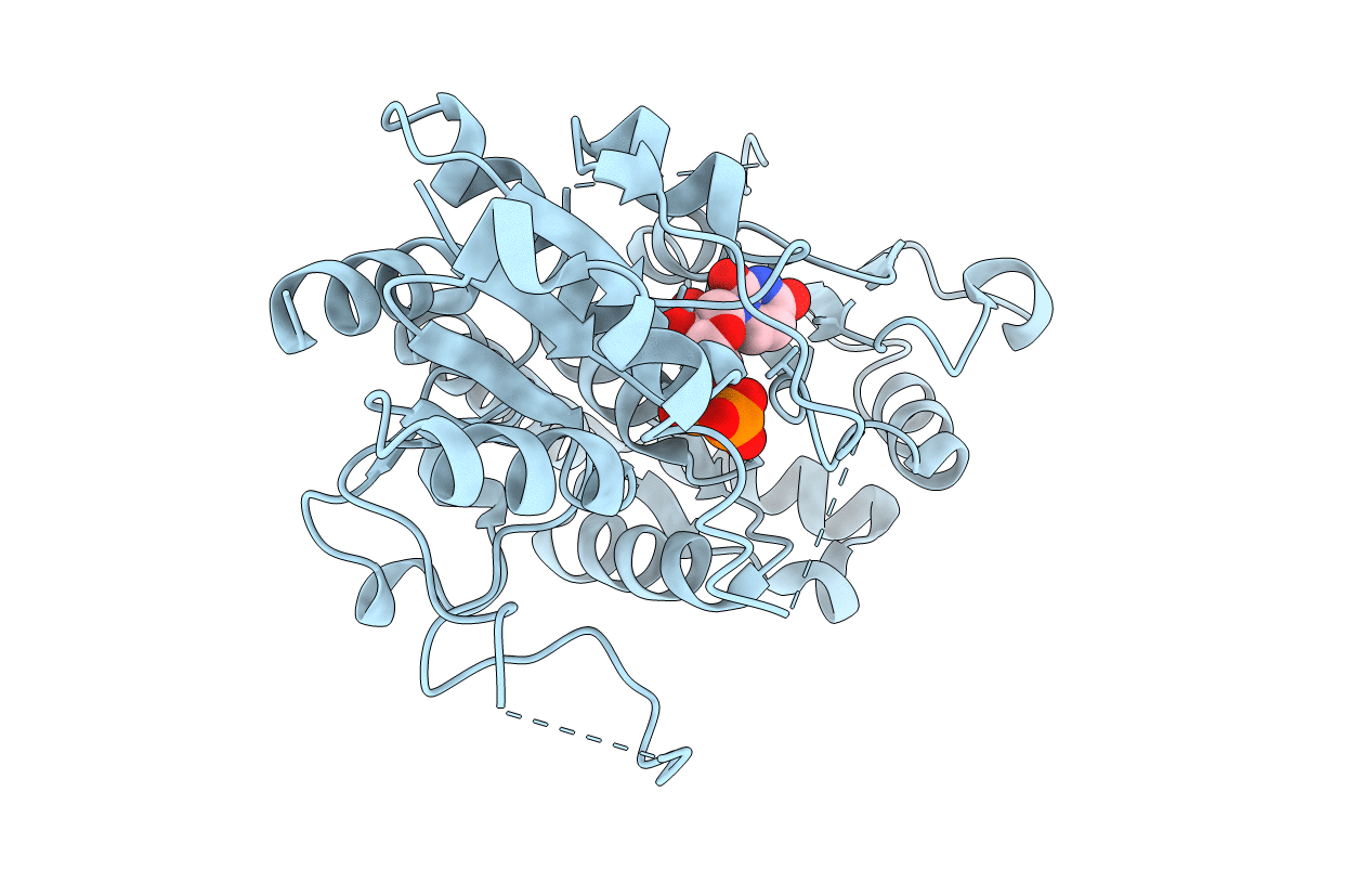 6KQX image