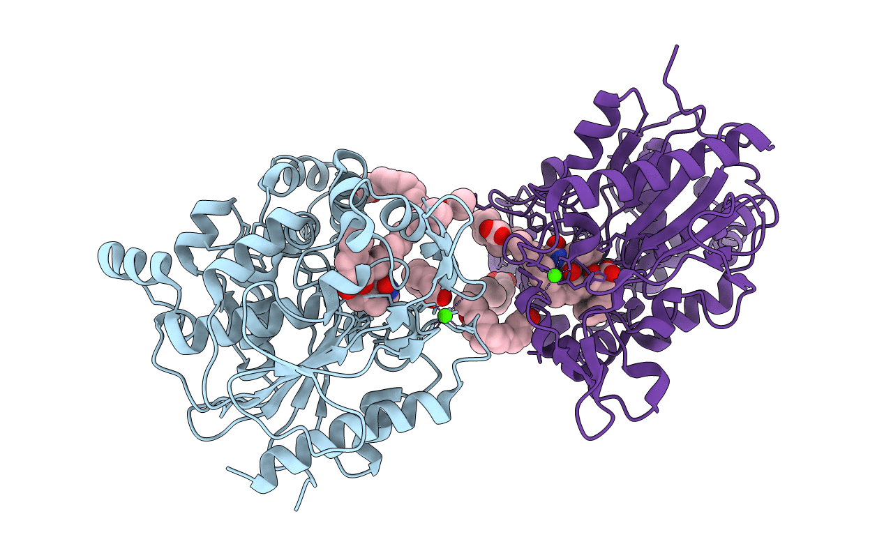 6KSM image
