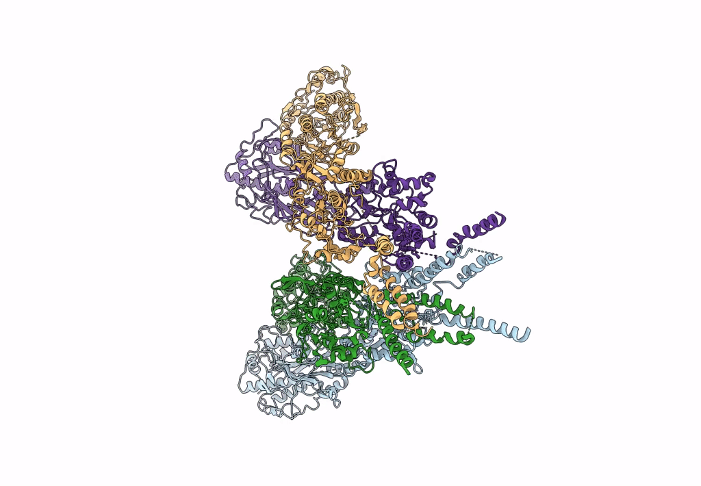 6KSS image