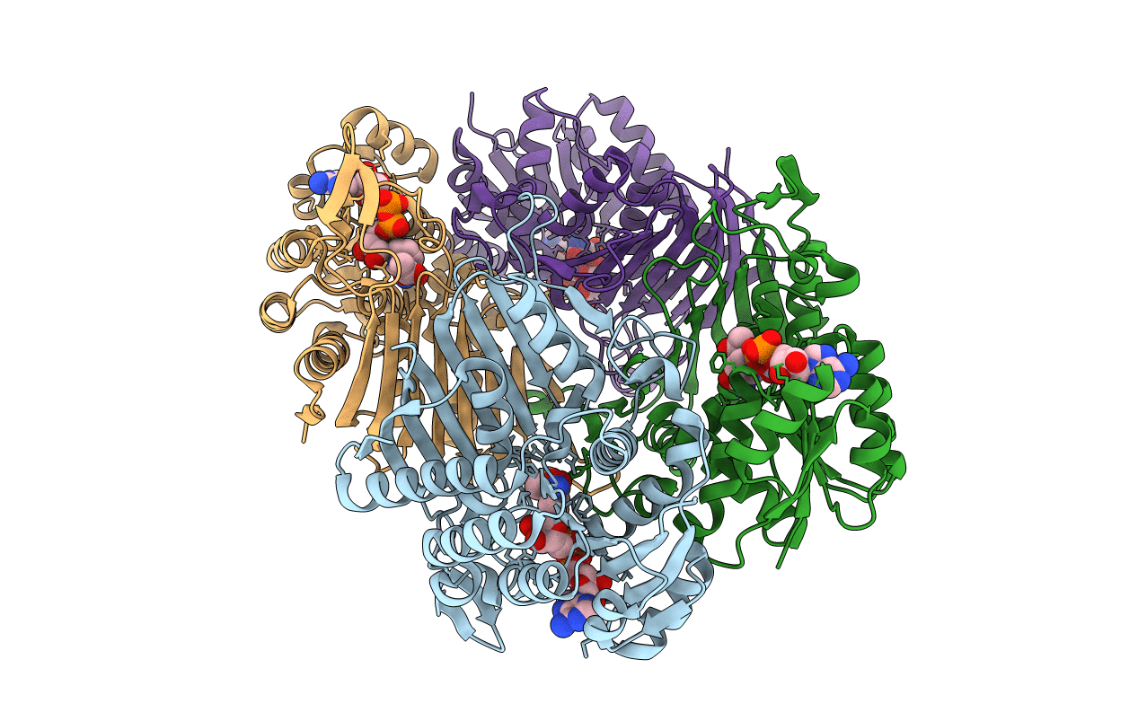 6KTL image