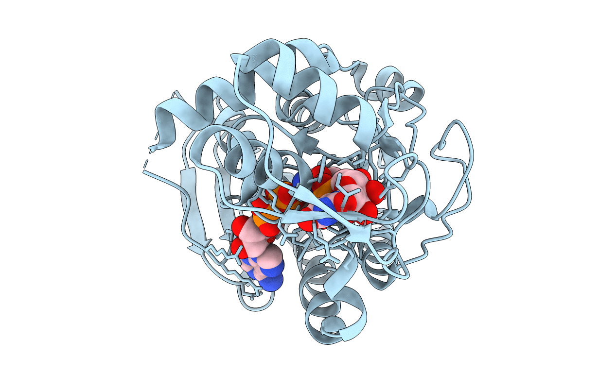 6KV9 image